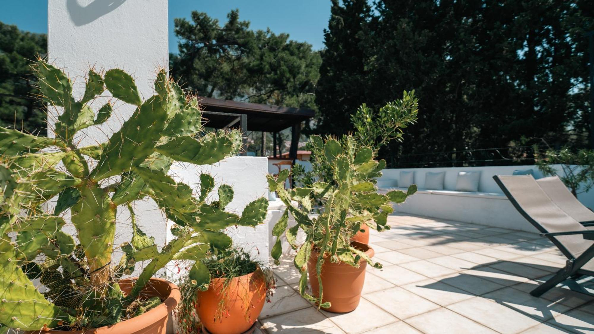 Totelya Hotel Akyaka  Luaran gambar