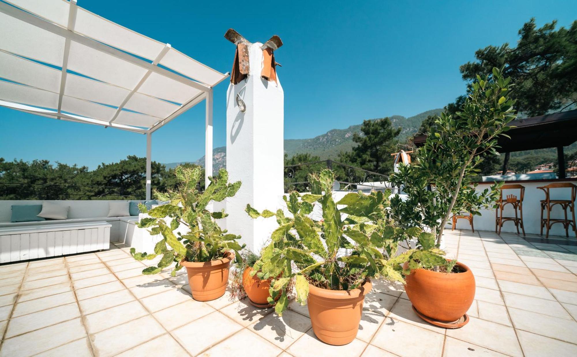 Totelya Hotel Akyaka  Luaran gambar