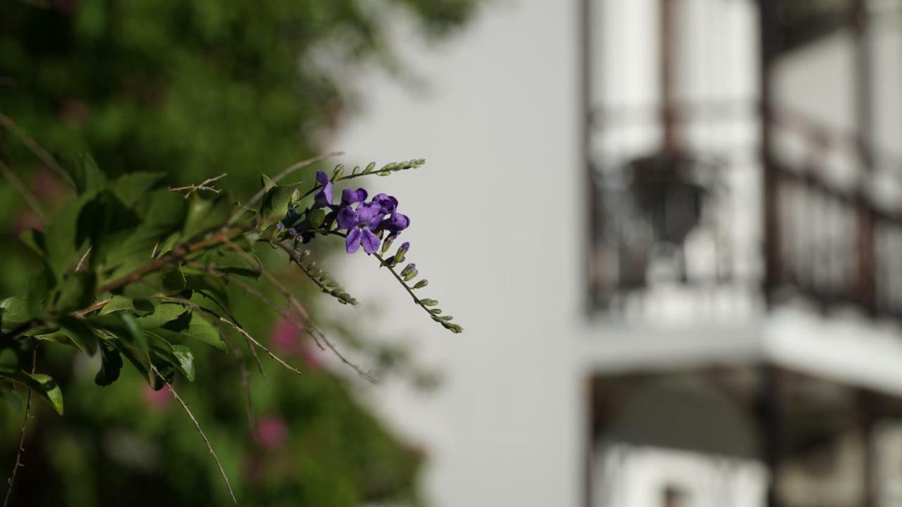 Totelya Hotel Akyaka  Luaran gambar