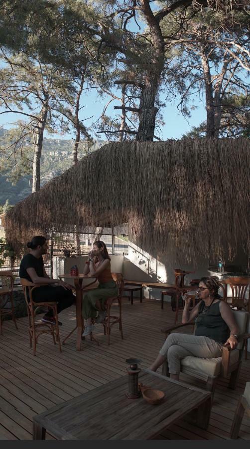 Totelya Hotel Akyaka  Luaran gambar