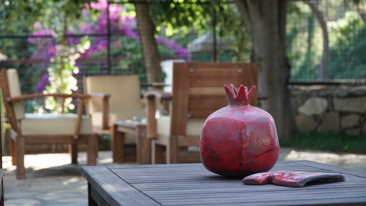 Totelya Hotel Akyaka  Luaran gambar